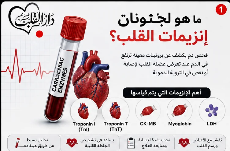 ما المقصود بإنزيمات القلب؟